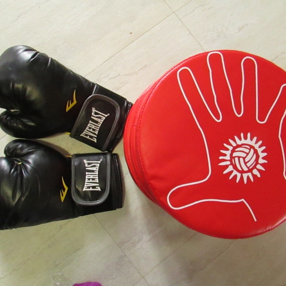 Everlast Boxing Gloves and 4 Punch Pads
